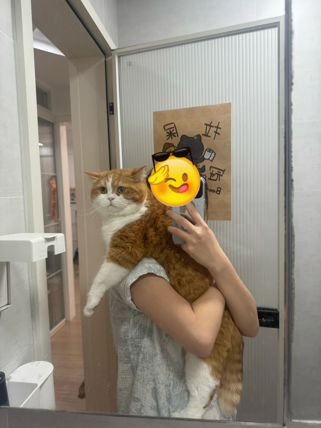 展示一下我的巨猫