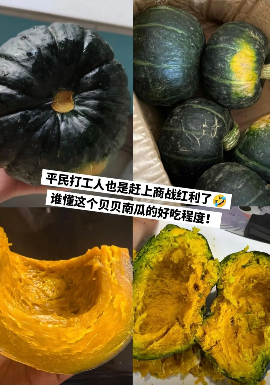 谁懂这个贝贝南瓜的好吃程度！