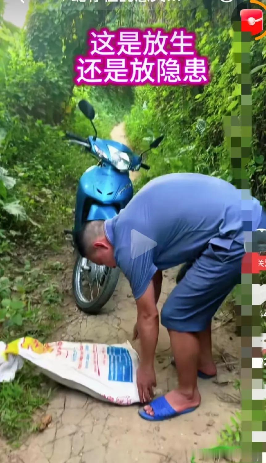 放生毒蛇，是护生还是杀生？
贵州。
男子骑着摩托车，来到山坡上，从车上拿下装着五