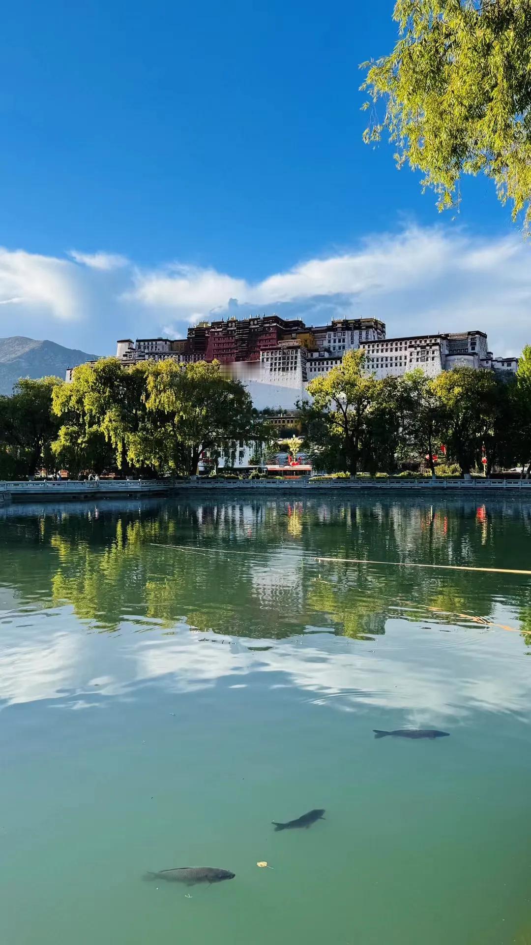 所有的可能性都说了，就等于什么都没说。今天的走势是低开低走，然后会小幅反弹，全天