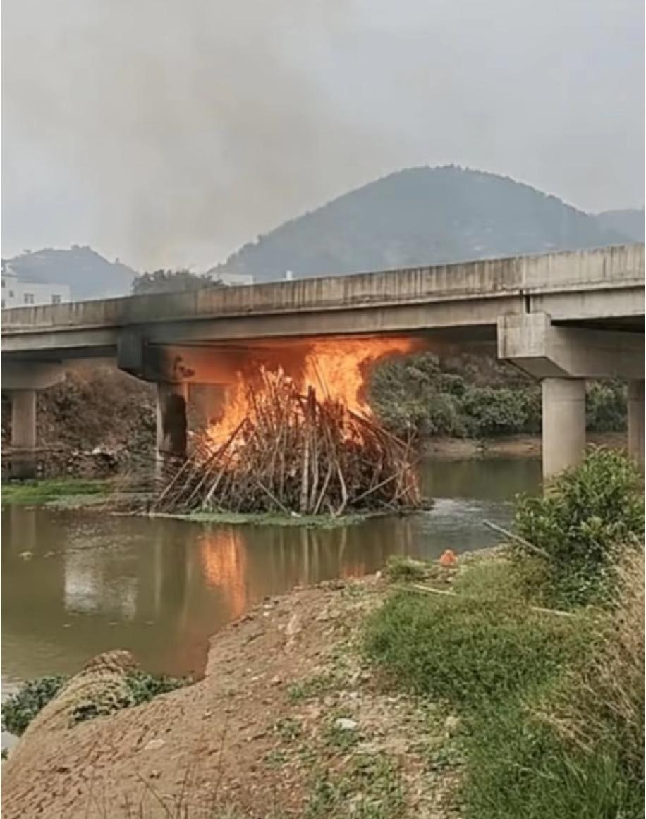 2月25号，有人发视频说广西玉林北流市的龙安大桥着大火了，大桥都被烧黑了，大伙都