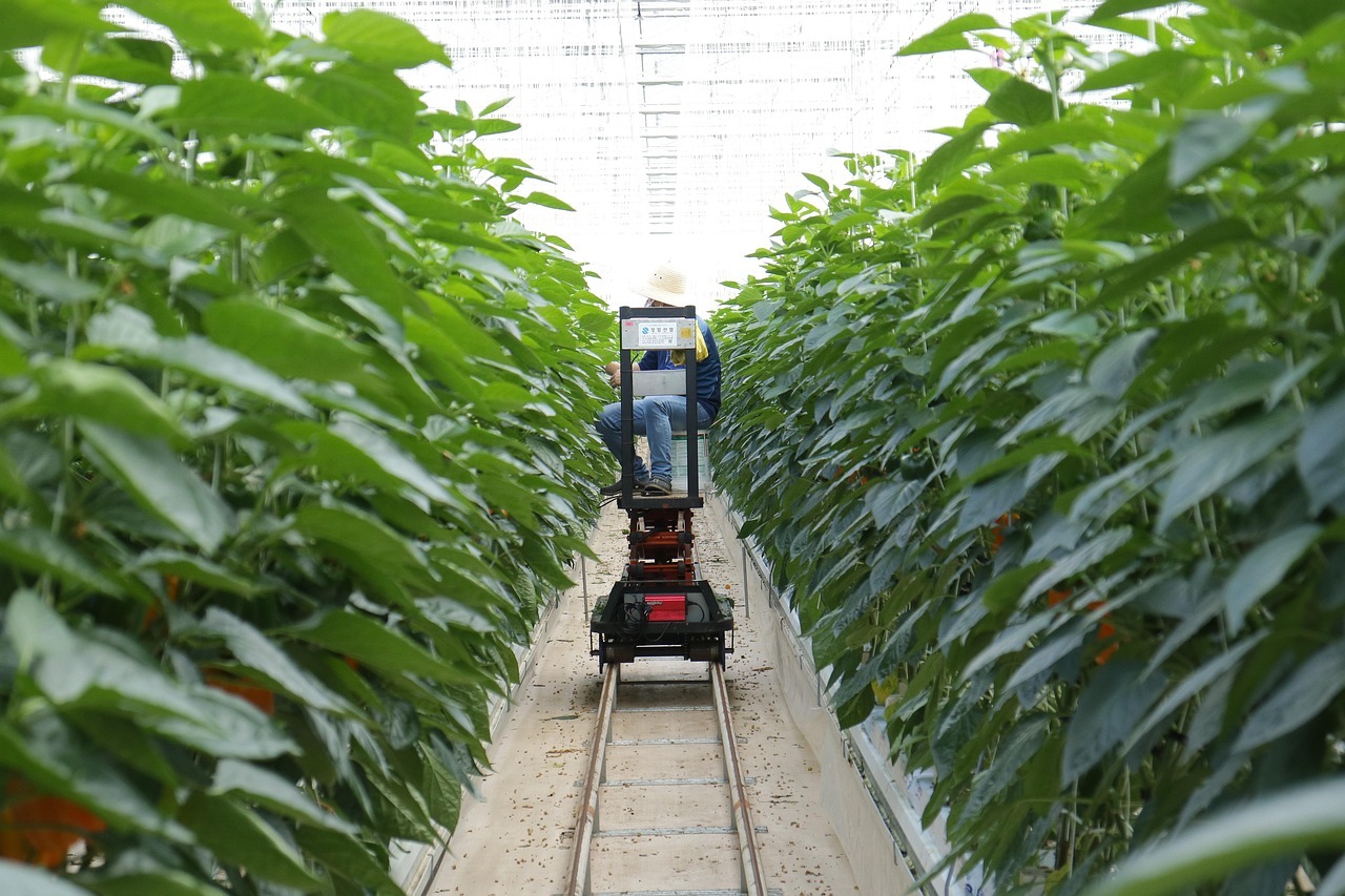 全系800V、VLA 2.0纯视觉智驾，纯电625km、增程1330km，MON