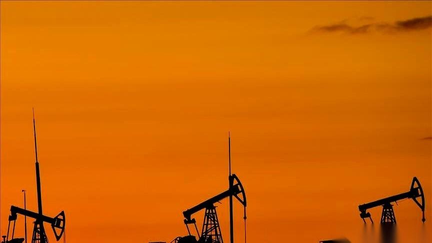 美军的封锁已经第14天了，按理说，德黑兰的货架应该早就空了。
但怪就怪在这里，超