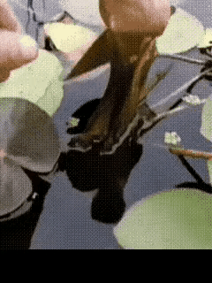 赠每一位当前处于低估的人士