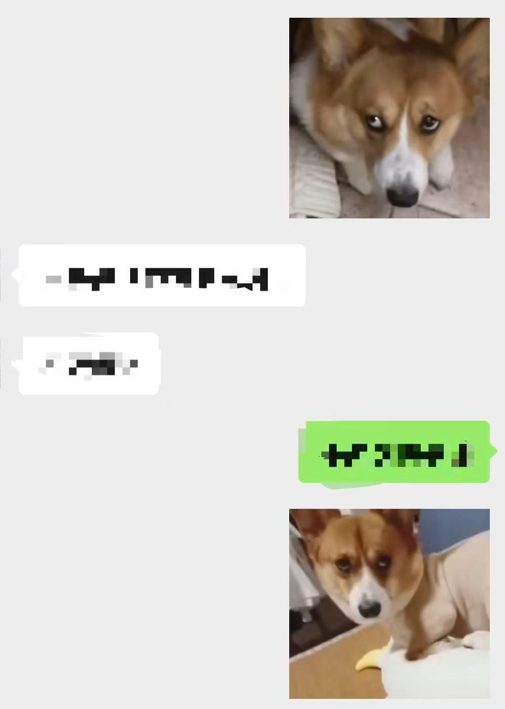 啵啵当表情包真的太好用了。。 ​​​