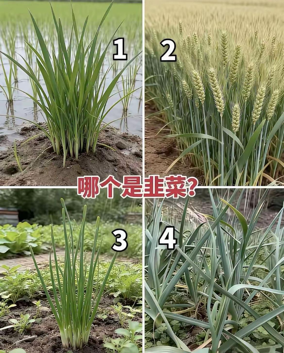 有没有人知道？【@头条逗趣小鲁班】