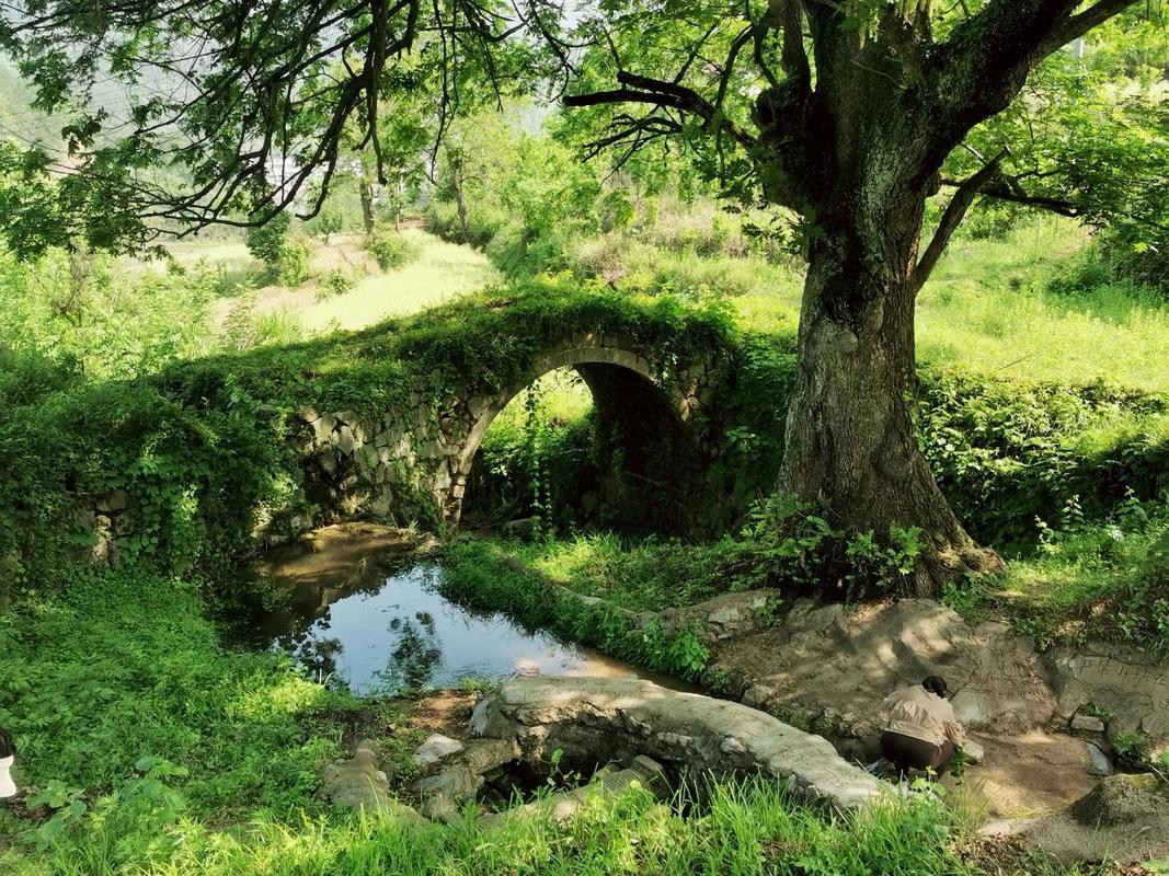 上联：山石岩泉流白水，
下联：同水洞桥生乔木。
