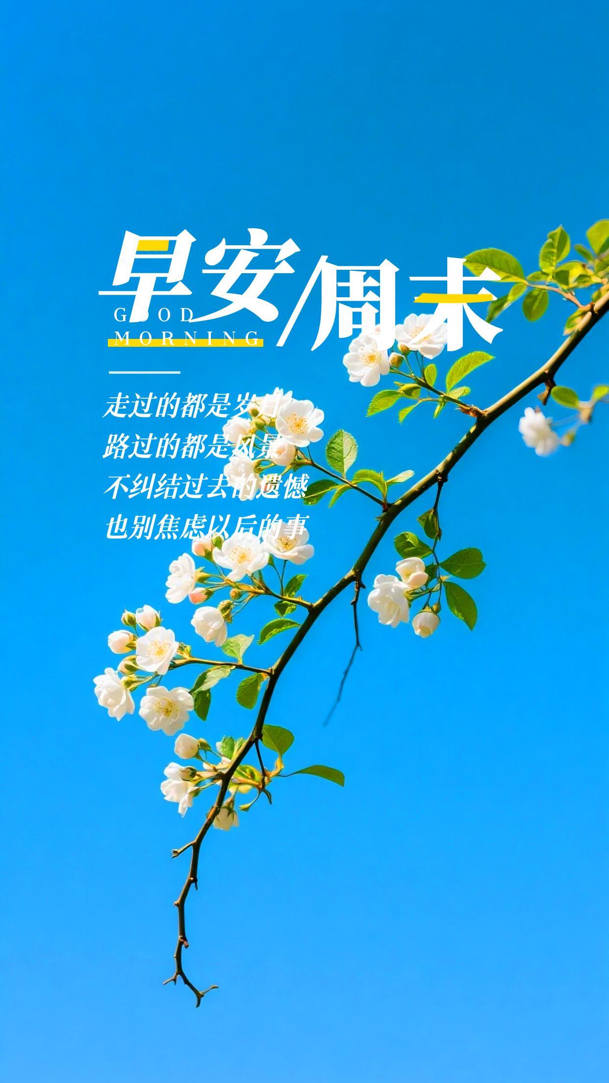 2026.8.15周六早安祝福海报壁纸拿图吱一声噢～ 