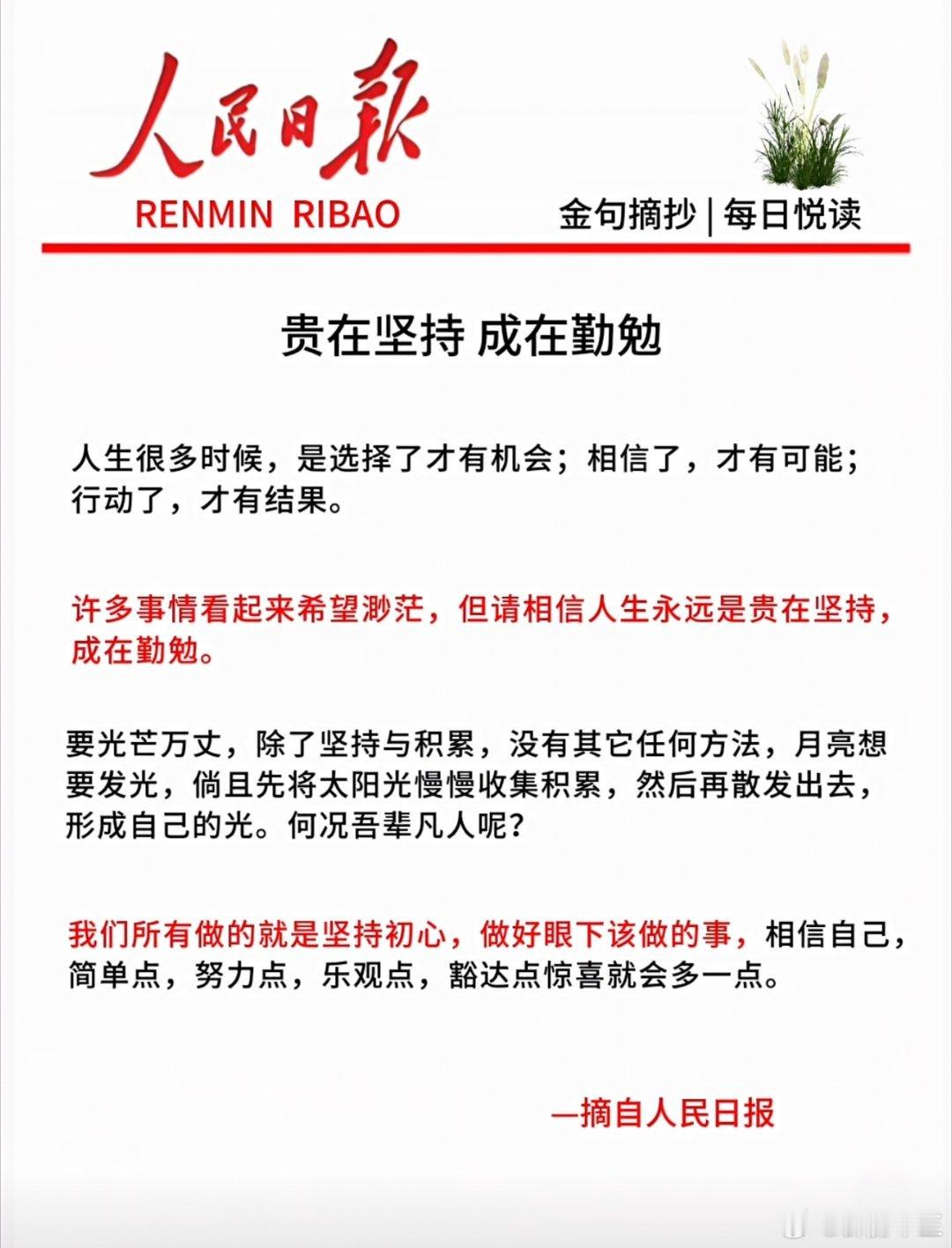 不是看到希望才坚持，而是坚持了才会看见光，微小的积累终会成就非凡金句摘抄每日一善