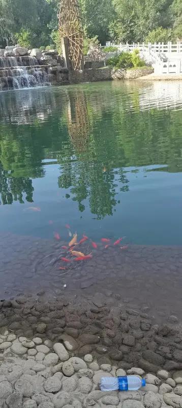 水至清则无鱼，人至察则无徒。处世至理名言，今天你不给人留活路，他日你必定遭人弃。