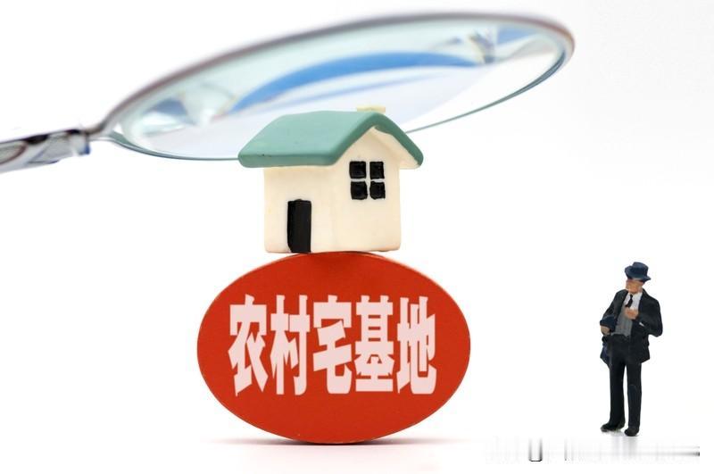 宅基地能继承，但要依法继承。
农村宅基地是以房子产权而行使的使用权利，农民修房必