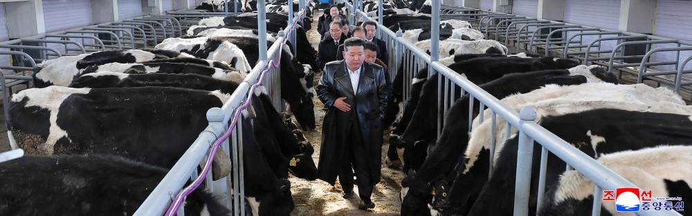 🔴【新时代社会主义农村建设和畜产业发展新标杆——三光畜产农场投产仪式举行】(2