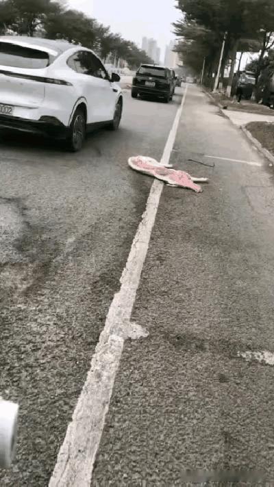 这就是我们中华民族的文化素养。看到地上掉的一两块钱随意捡，看见半头猪肉掉在地上却