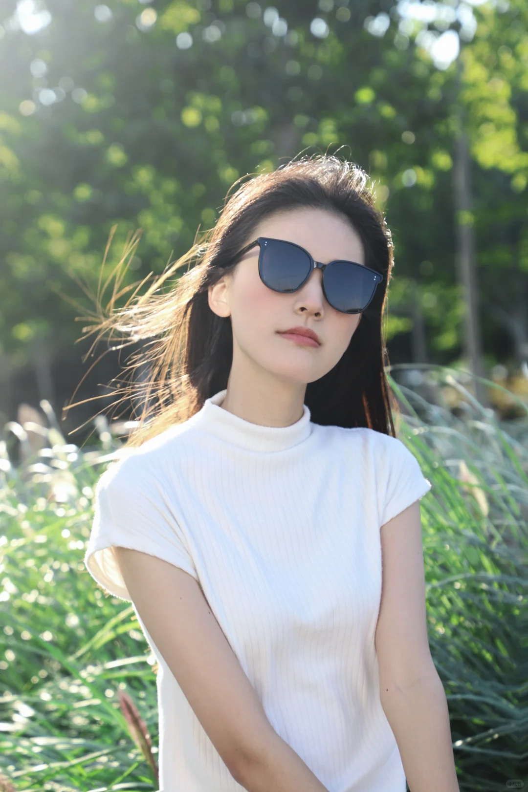 人就应该待在没有天花板的地方｜🕶️分享🌳