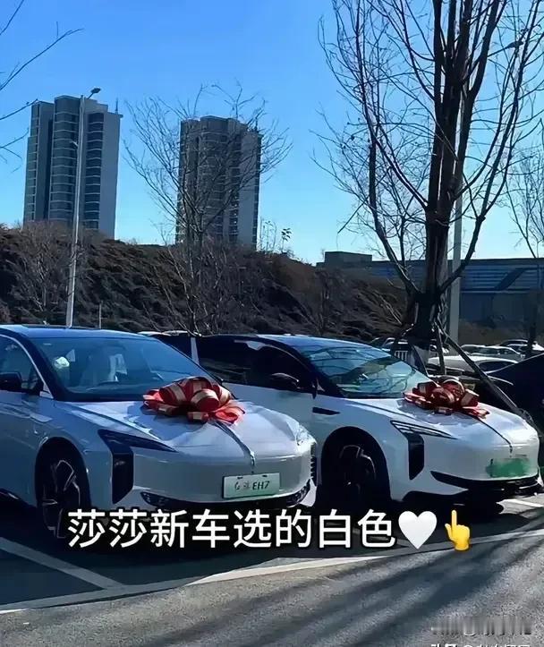 今日的快乐来自于莎莎的新车，今天真是个好日子啊，不仅是冬至，还是莎莎喜提新车的好