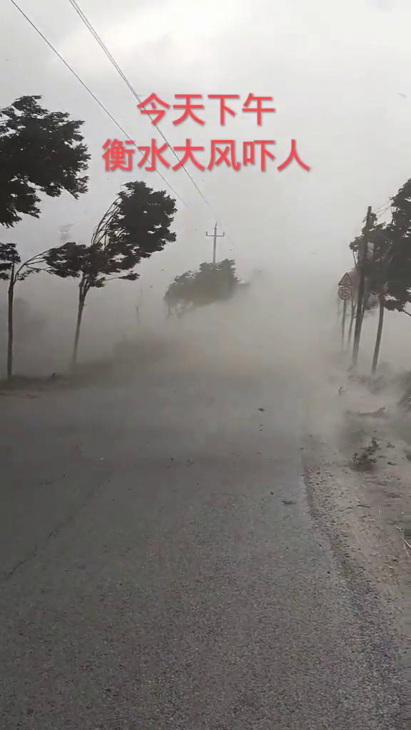 今天下午，衡水大风吓人。