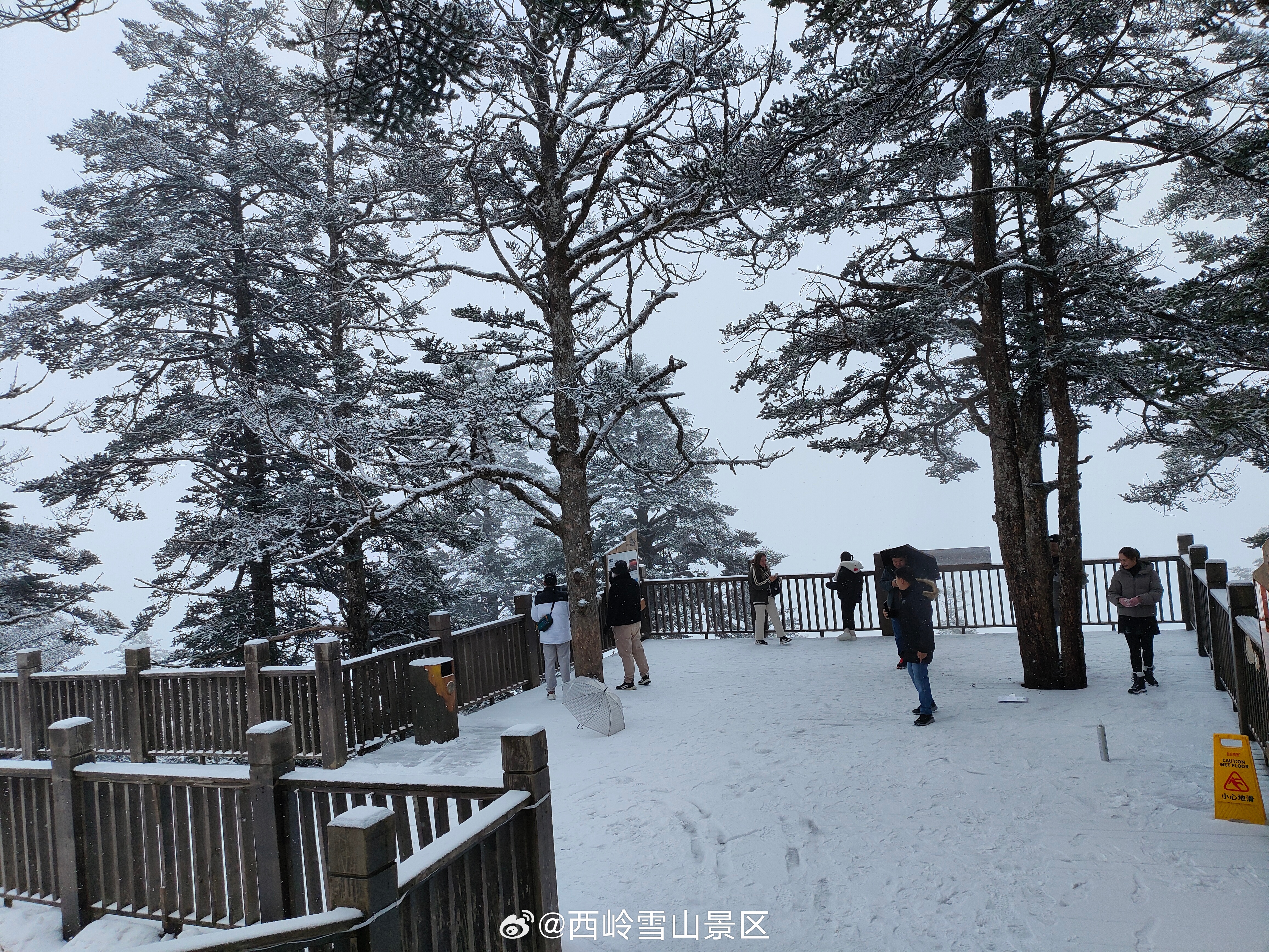 【#西岭雪山向全宇宙免门票# ！3月2日起，走起！】好消息不必藏着掖着！2026