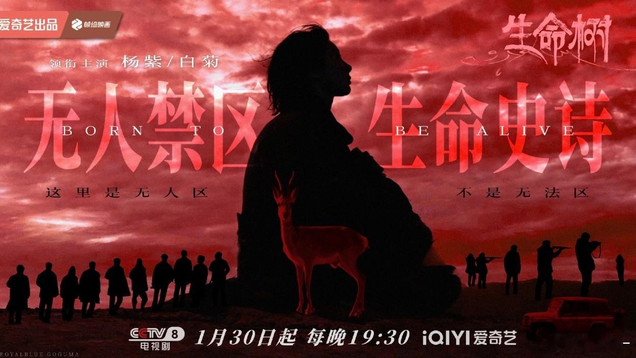 又到了必须尝尝咸淡的时候了，杨紫和胡歌都有强大的剧粉盘，糊不了 