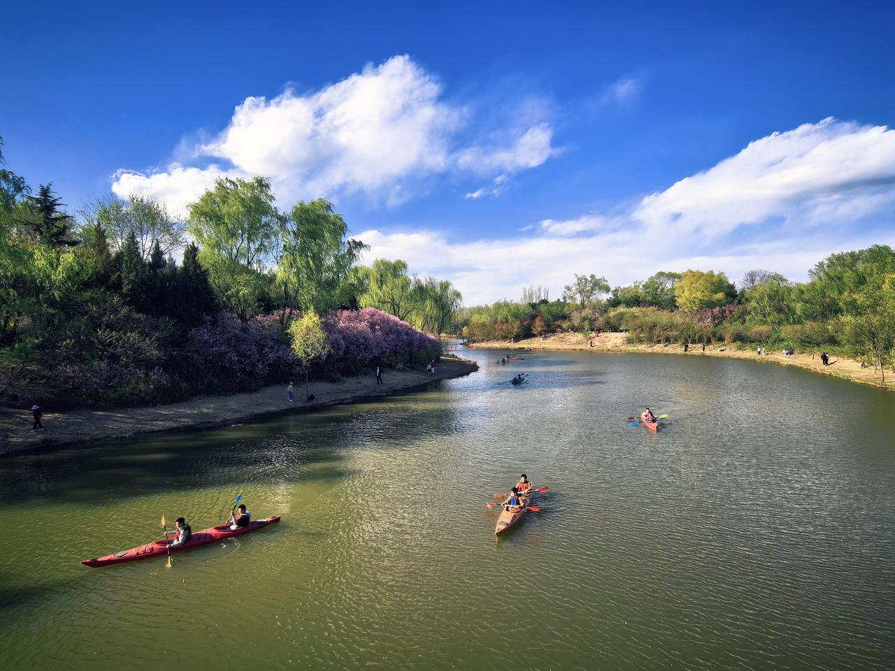 清明节的北京，风和日丽，春光漫染，为人们踏青游春带来无尽惬意。（手机摄于北京奥森