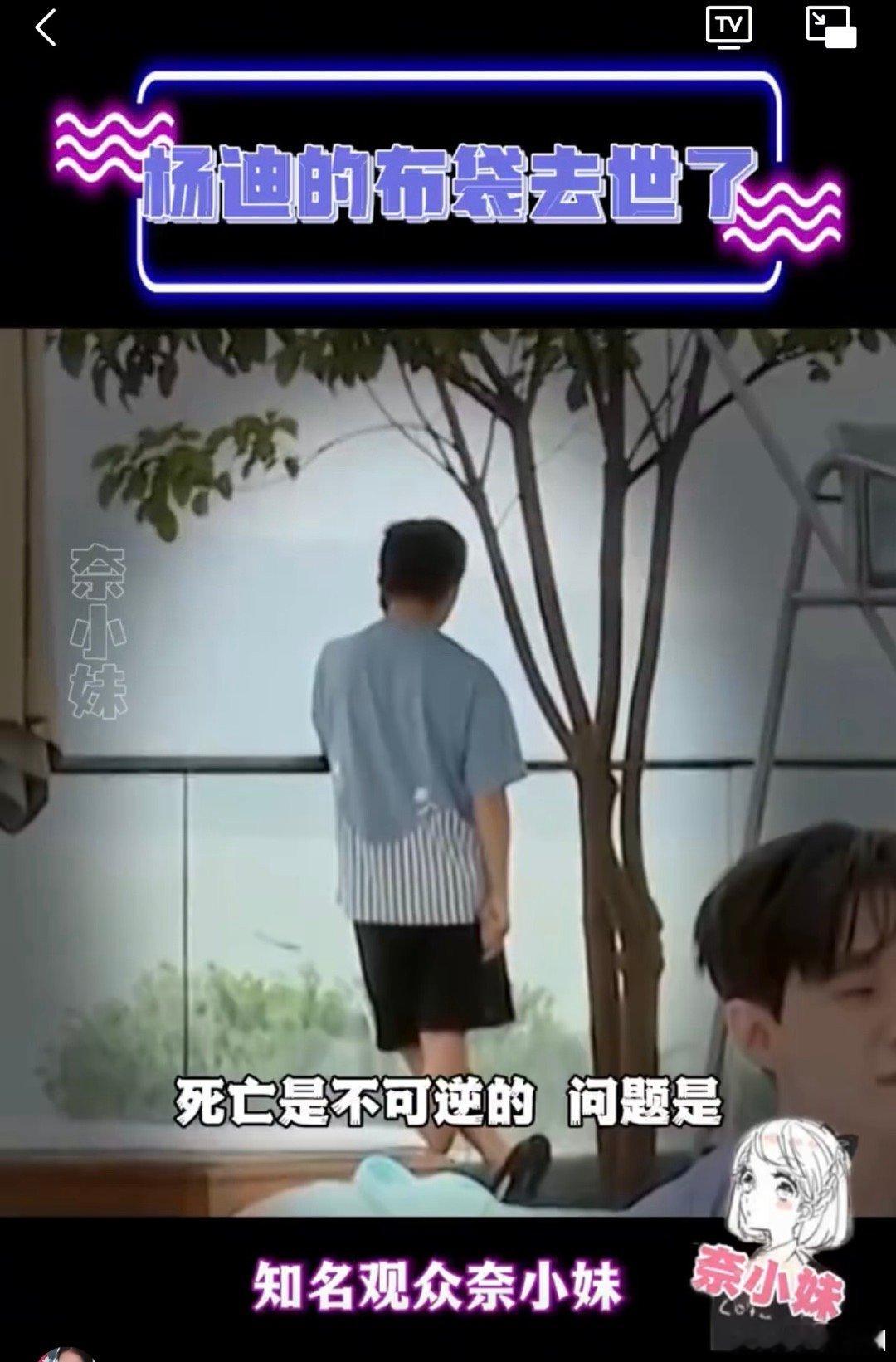 #杨迪的狗安乐死了#不得不说，杨迪真的是一位非常称职的狗主人啊，虽然看起来有点狠