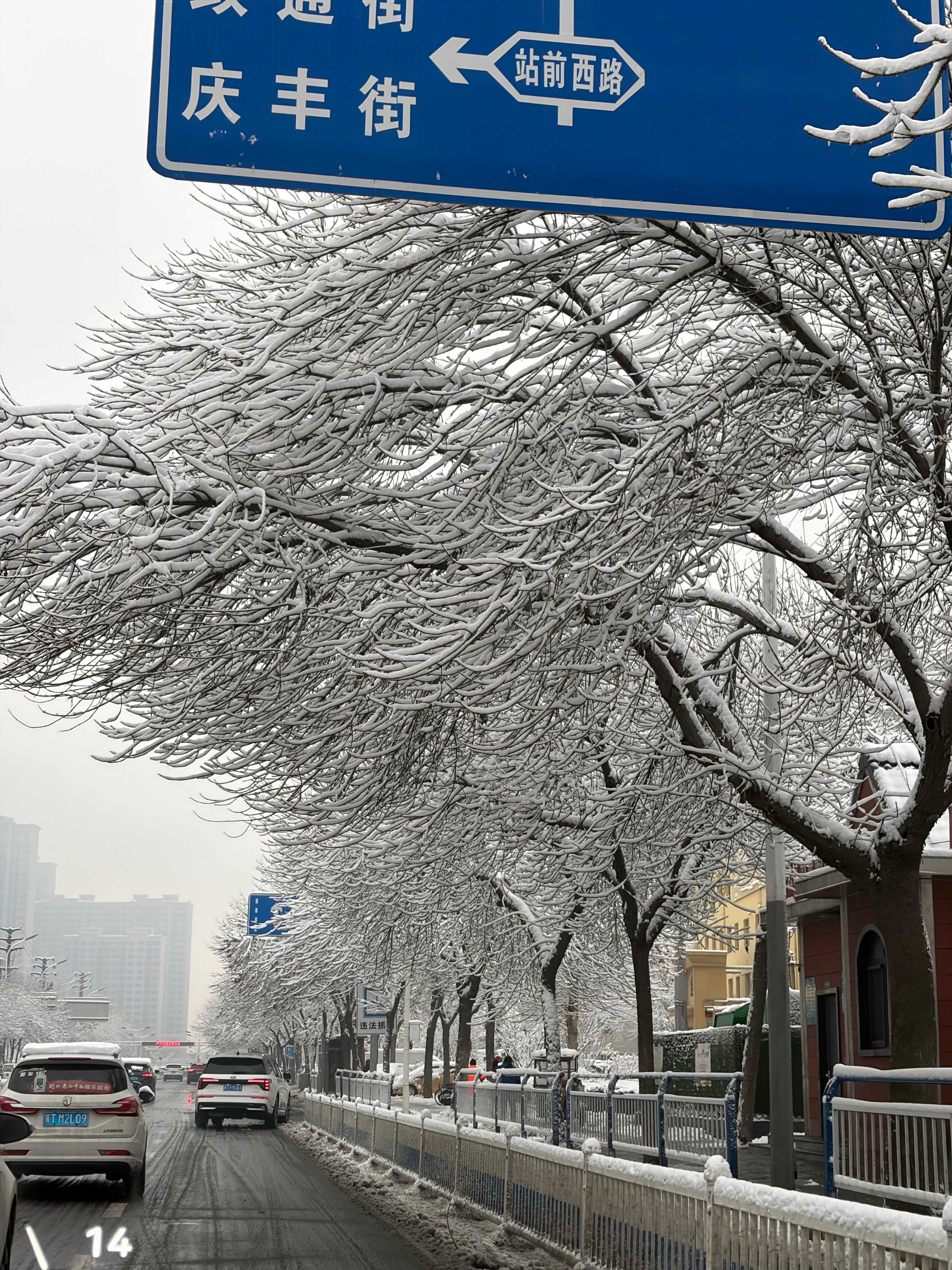 早啊朋友们，北方这个雪下的是真不小。