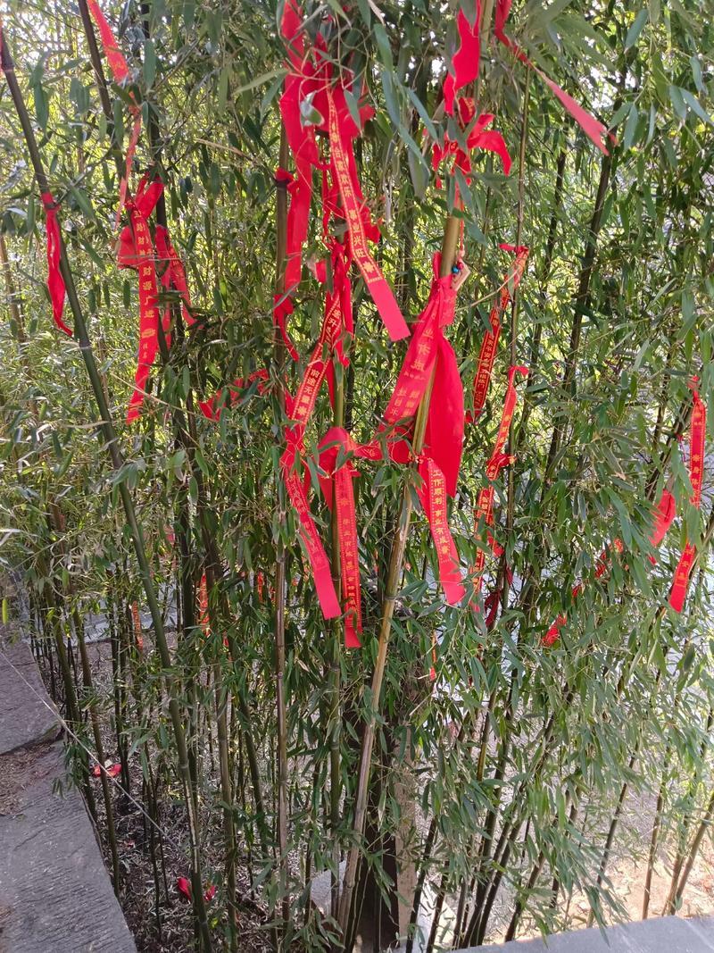 曝明星扎堆去大孤山的原因 这样的地方磁场好，多去可以提升自身能量 