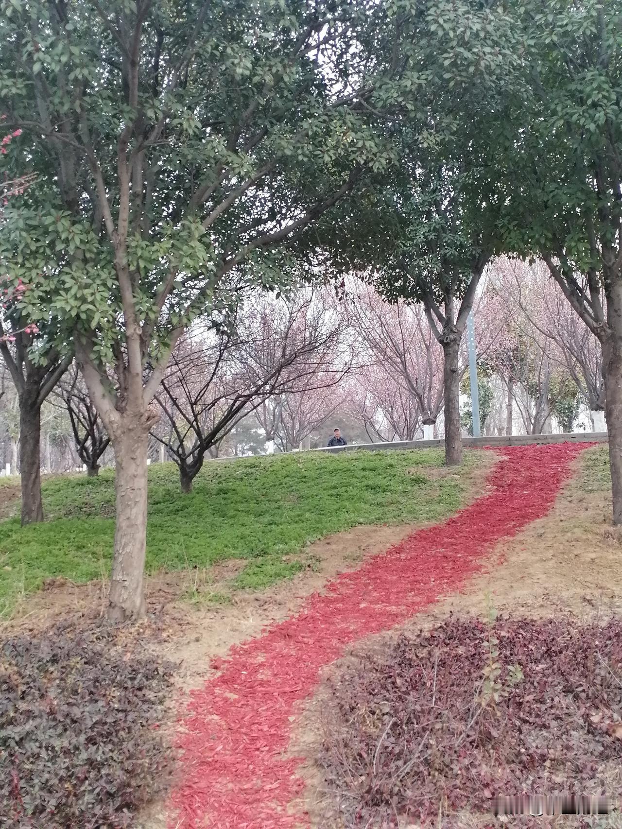 冬日生活打卡季冬日的路走起来，空气非常清新，小路非常的寂静，虽然现在还是冬天，但