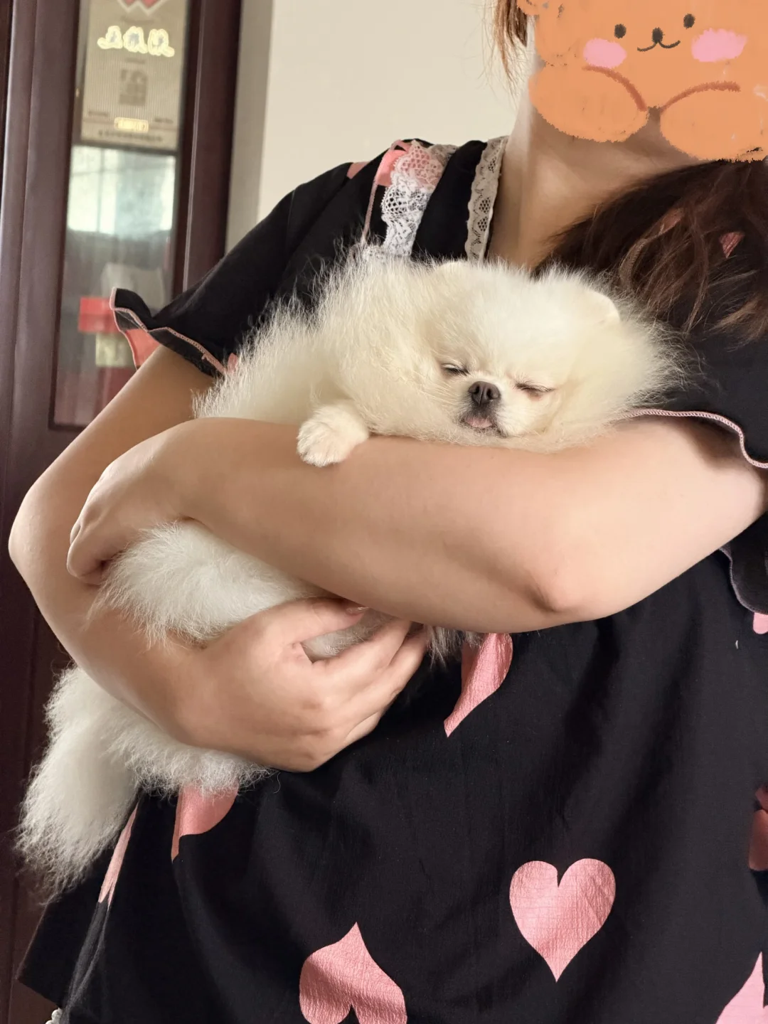 贵妃小憩