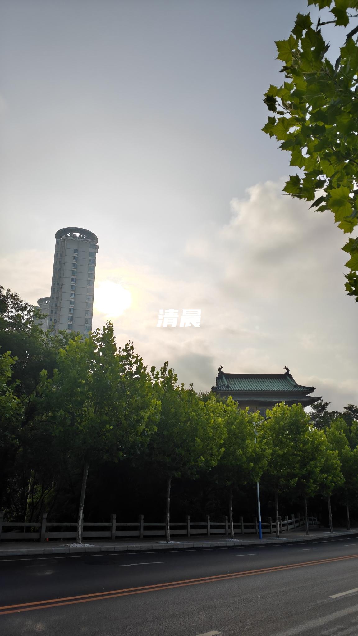 7月24日 暑假Day 11/49
晨练7🧮总结：阅读类61分钟；家庭学习内容