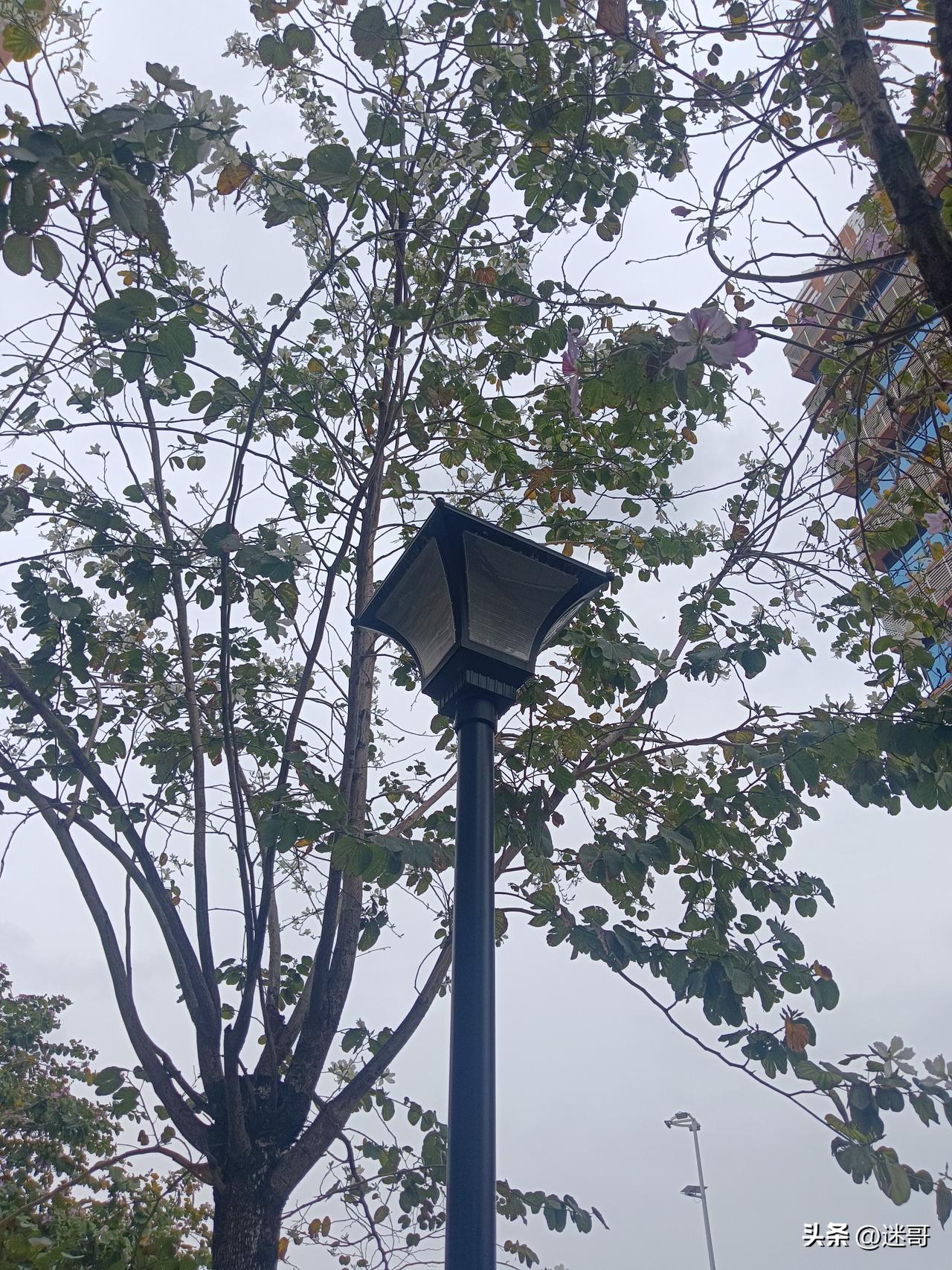 人与人之间最高级的尊重是什么?

人与人之间最高级的尊重，就这4件事：
 
1.