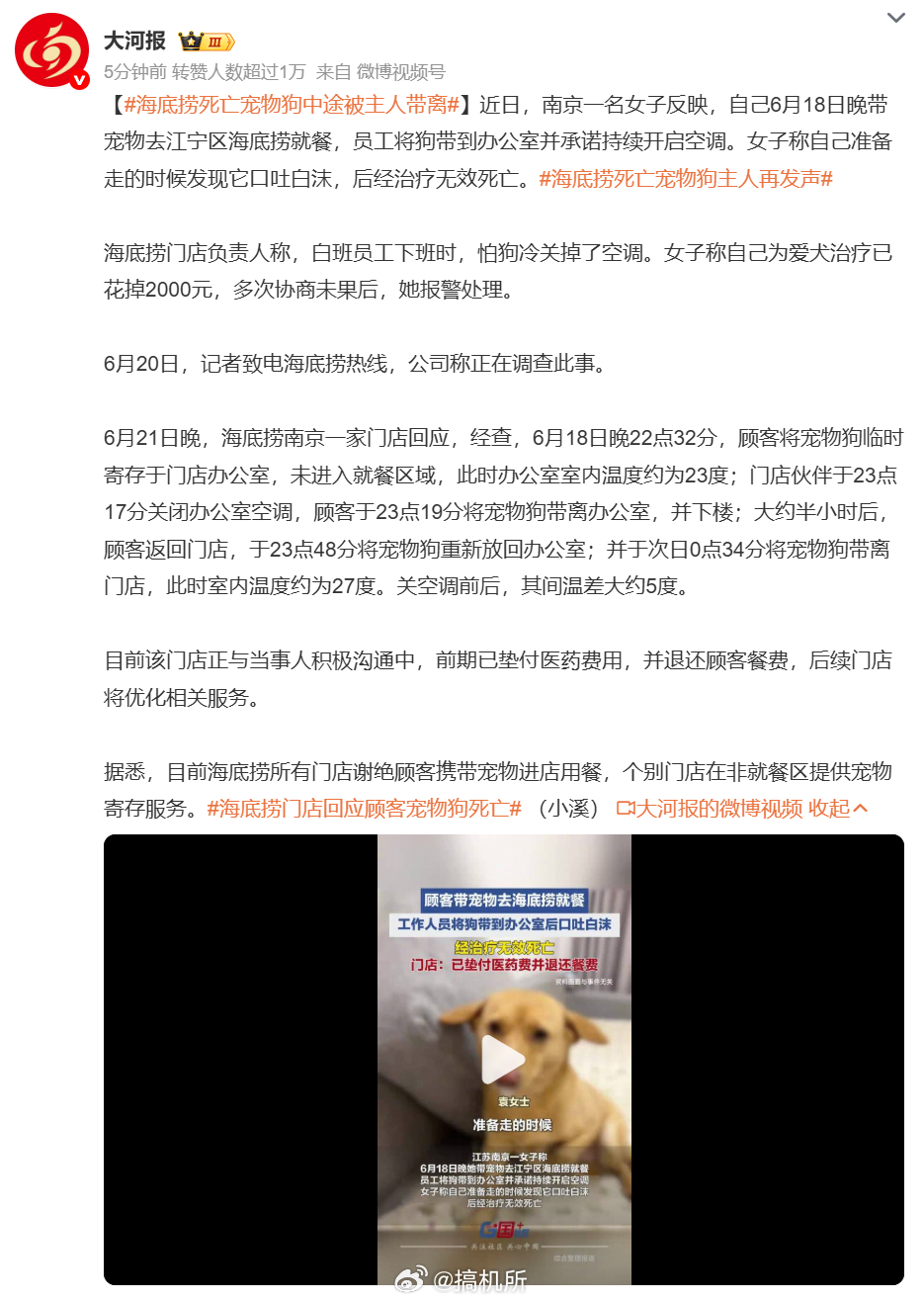 海底捞死亡宠物狗中途被主人带离反正我不太喜欢去那种能带宠物进餐厅的地方，宠物掉毛