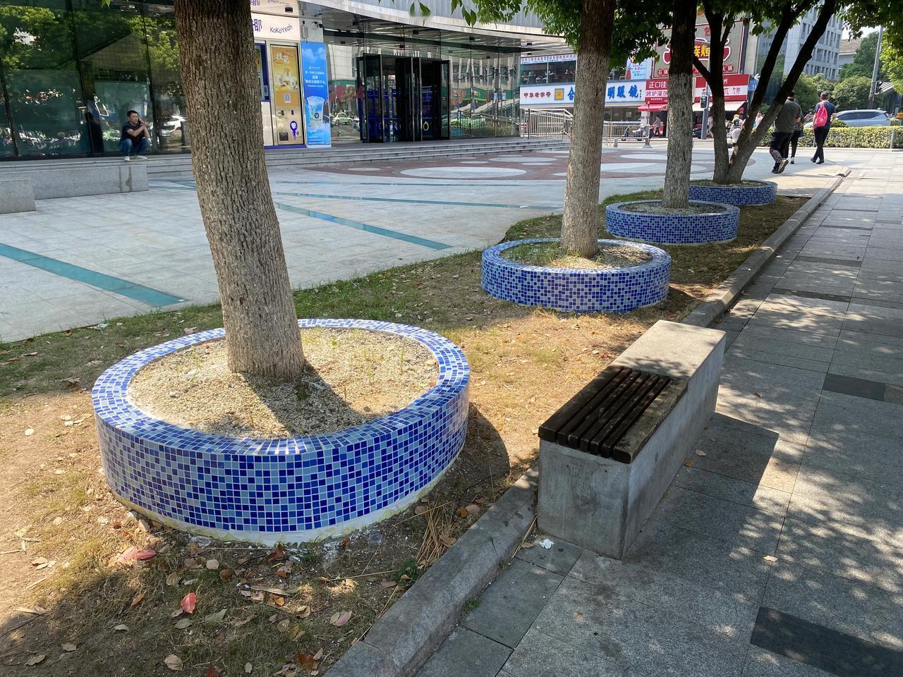 合肥的城市审美真是下头
解放电影院门口的花坛
这配色和绿化
都不如80岁老大爷家