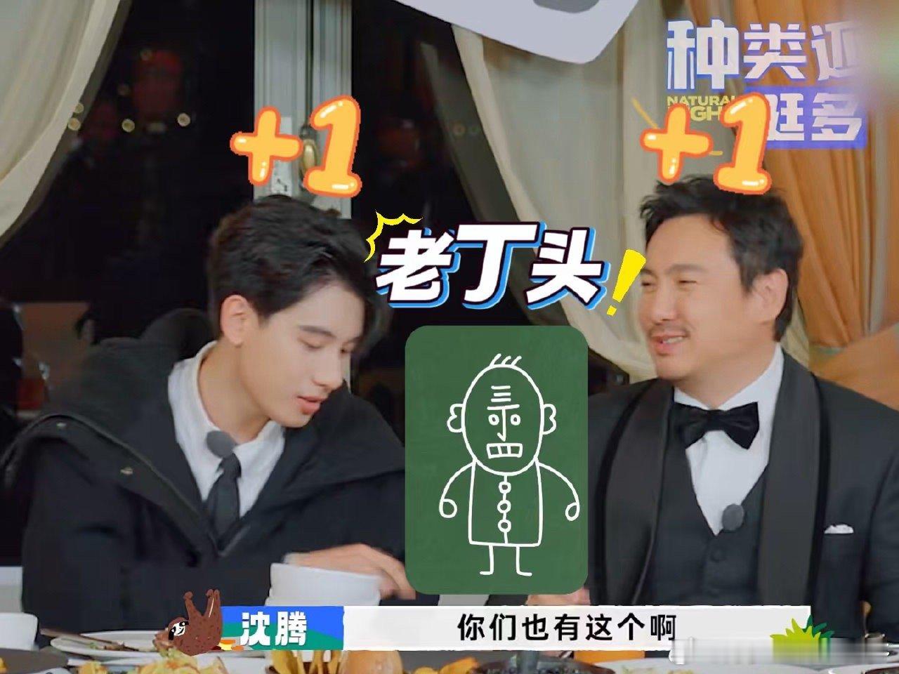 原来沈腾胡先煦说的是这个老丁头 《现在就出发》古堡名场面笑不活！腾庄主晚餐时突然