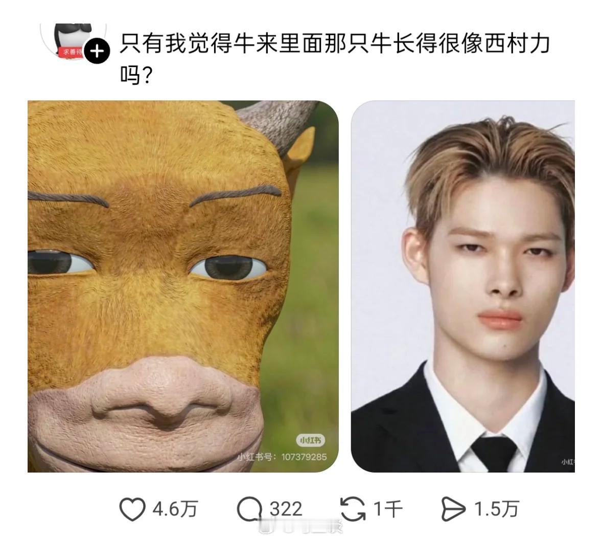 牛来像西村力已获4万点赞、1.5万转发。西村力就是此前引导网暴，导致日本网红直播