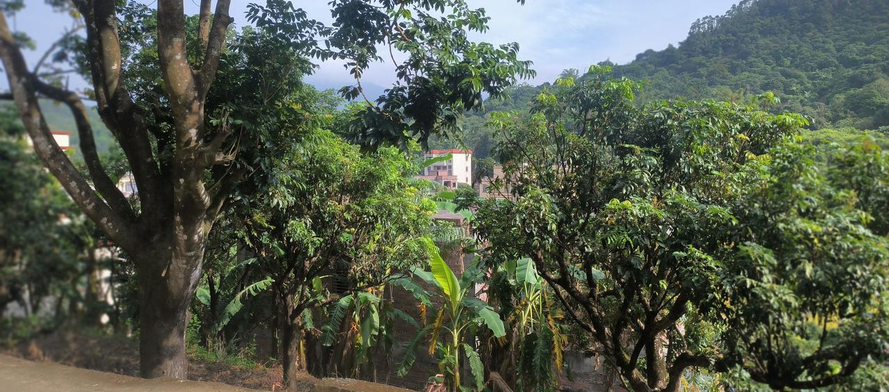 晒图笔记大赛我的乡村