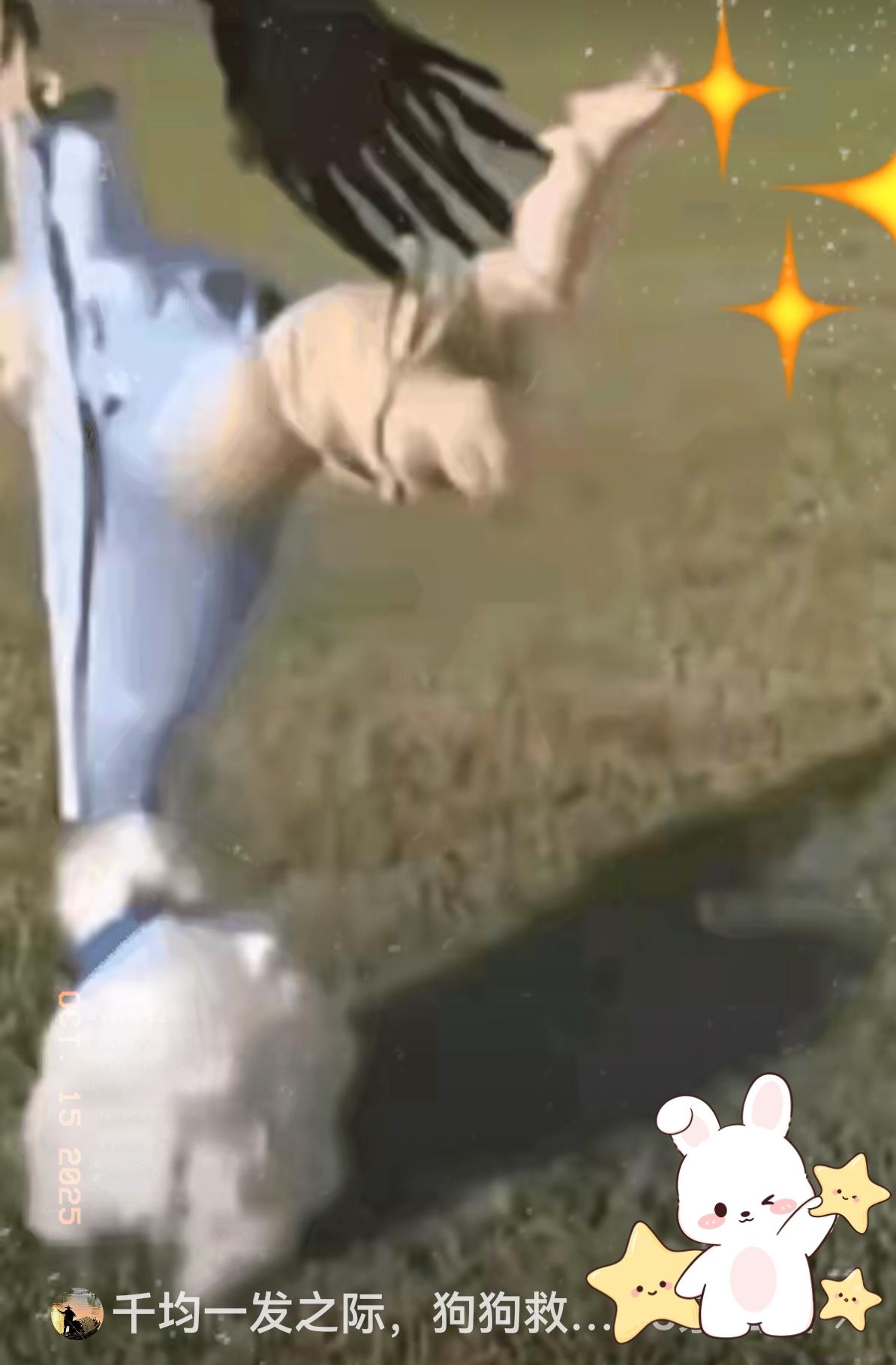 野外惊险的一幕！几个月大的孩子在草坪上玩，突然飞过来一只大老鹰，叼起孩子往空中飞