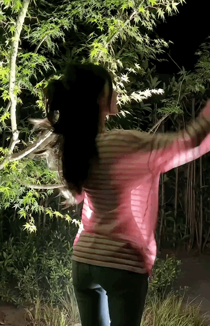 美女是相信光的