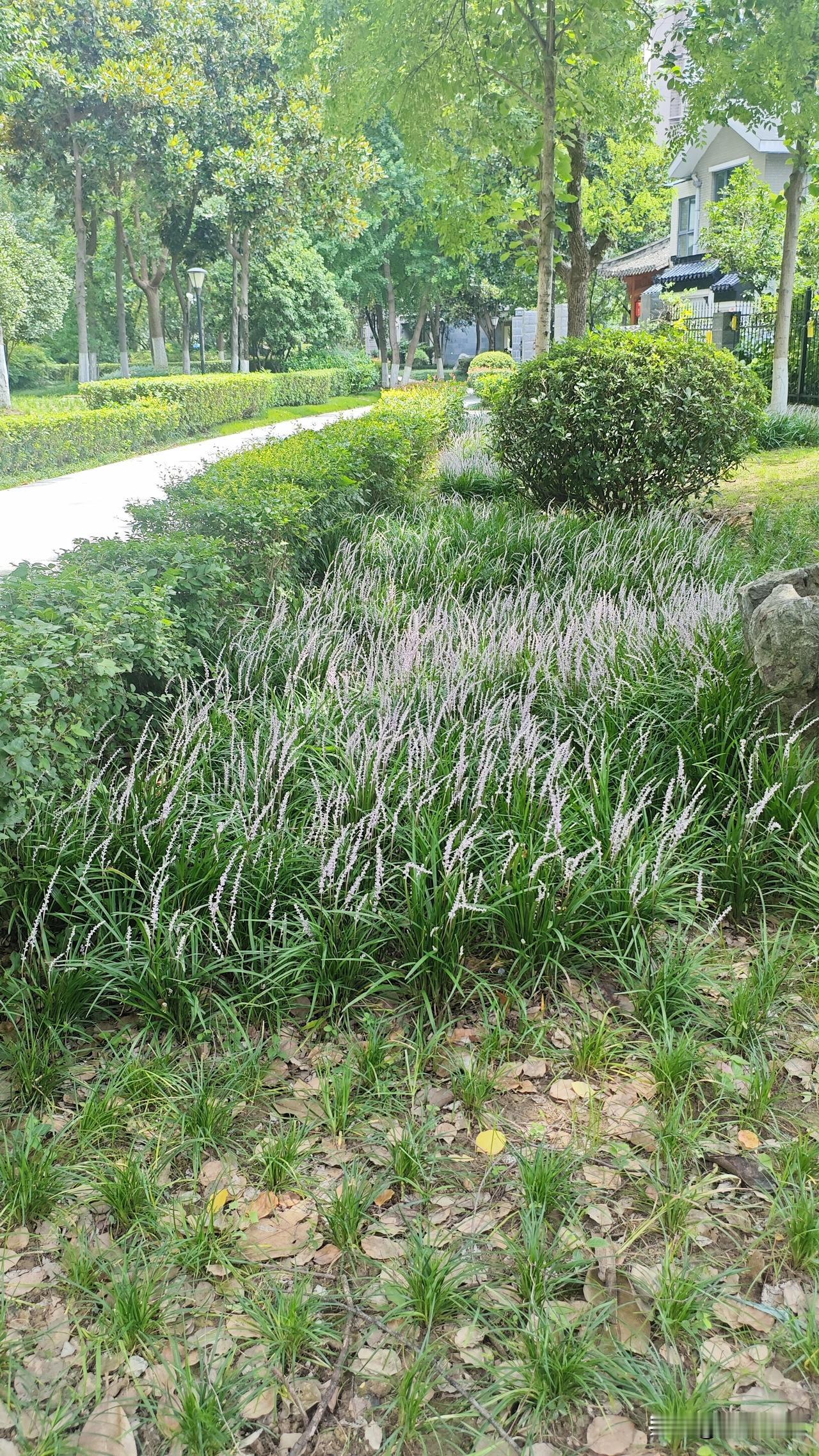 有没有好看的风景图片分享