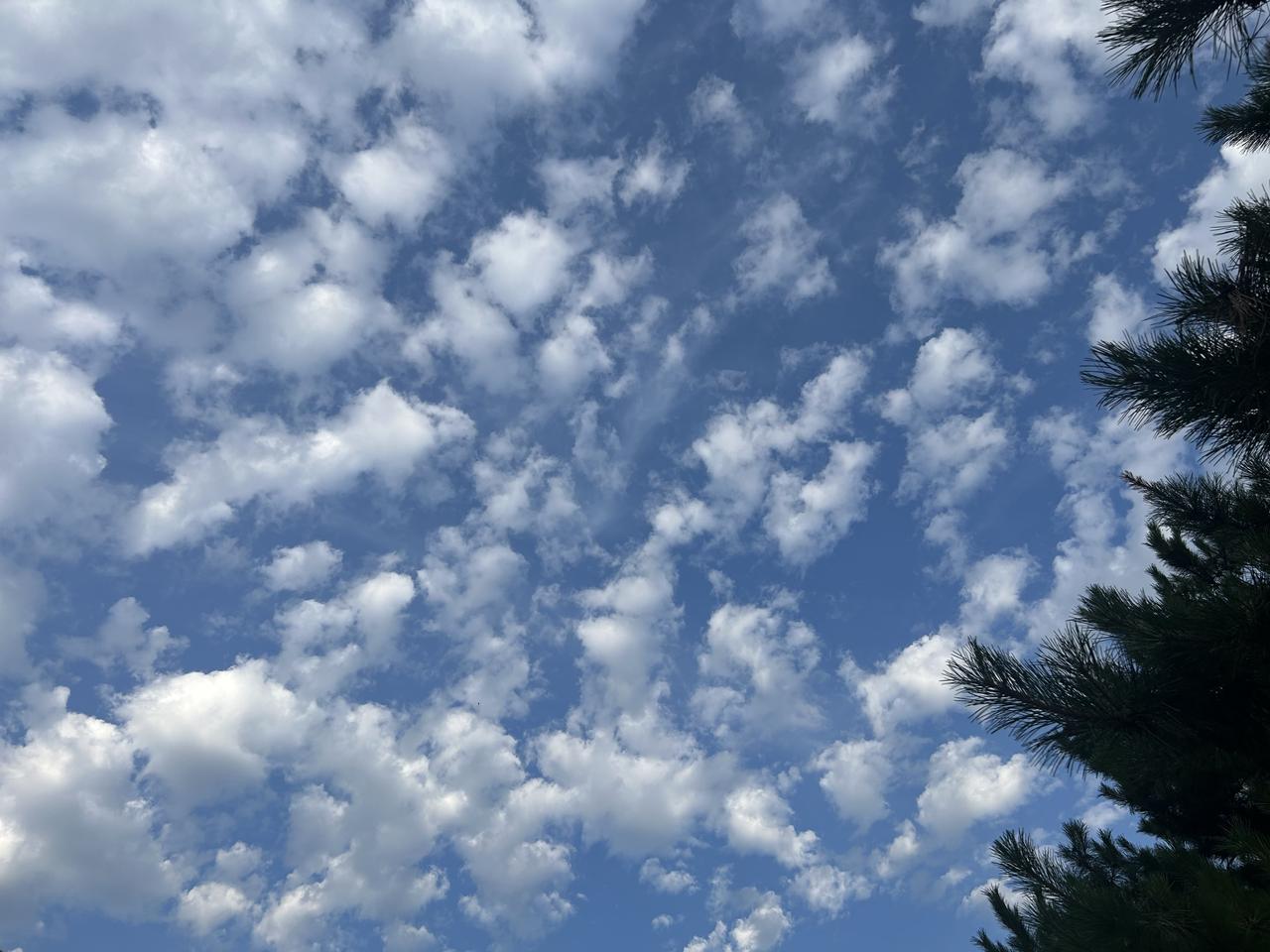 6月27日周六一大早，北京的天空格外美丽…