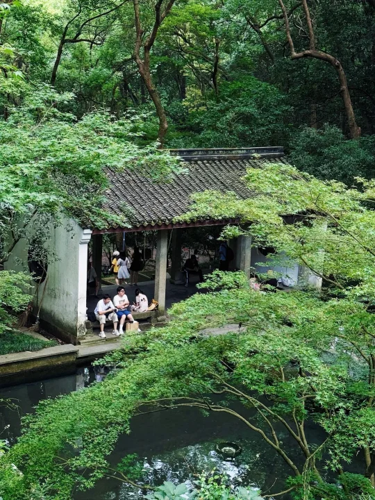 晴天的虎跑，是巨大的绿色能量场