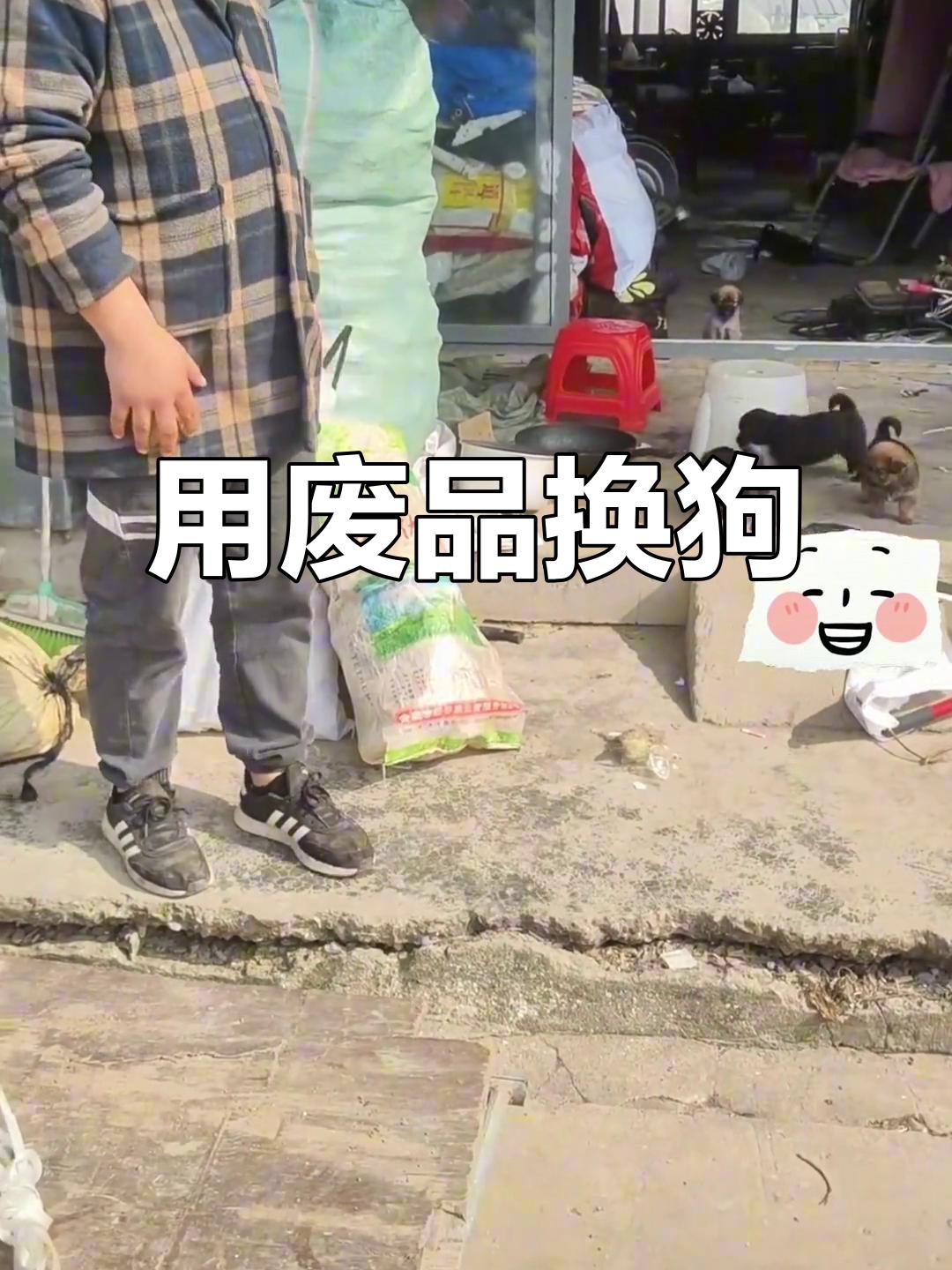 离谱又好暖！合肥女生3元纸箱，从废品站“换”走一只小黑狗
合肥一名女生的一次废品