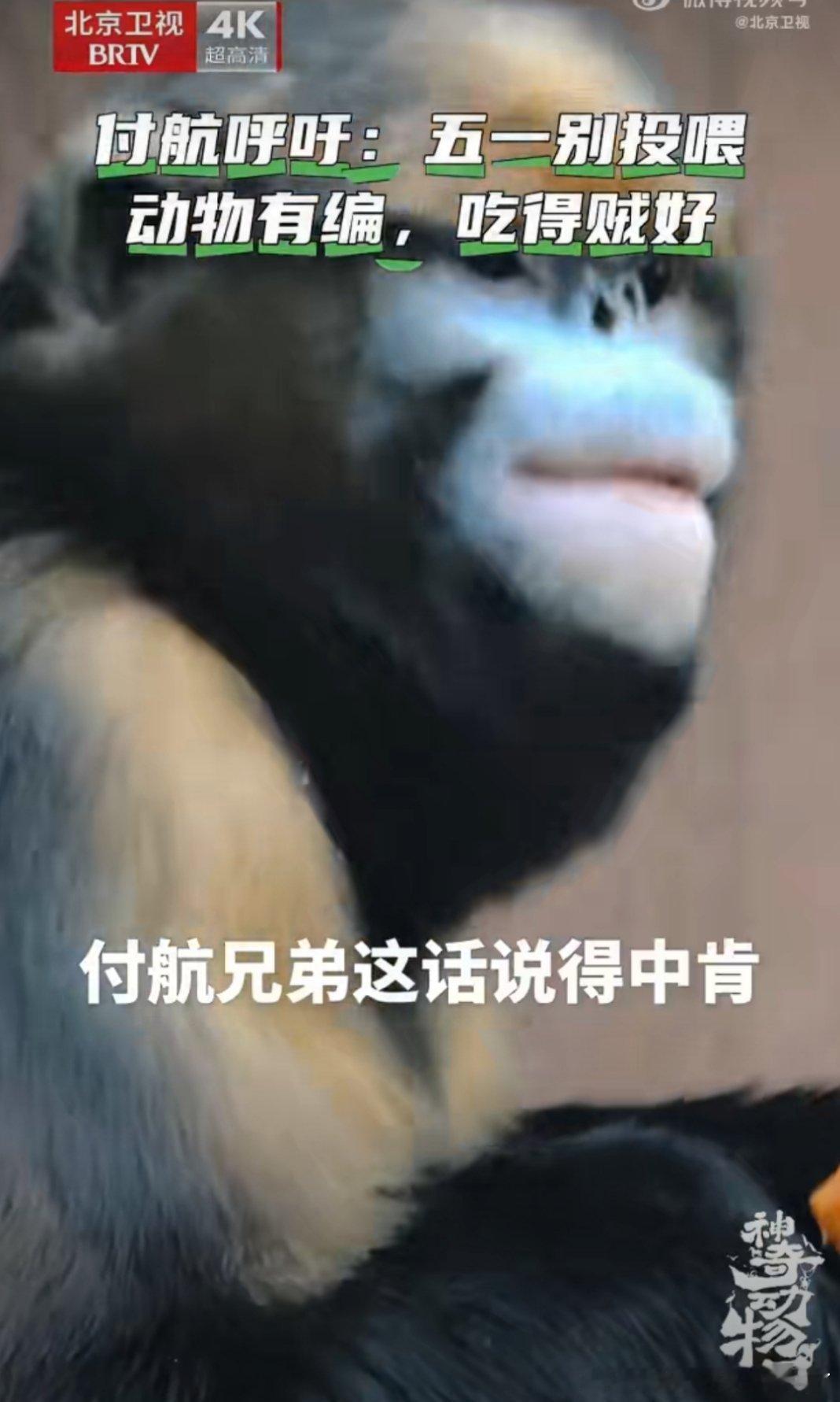 付航北京提醒文明游园请勿投喂临近五一付航暖心倡导文明游园。拒绝随意投喂，用心守护