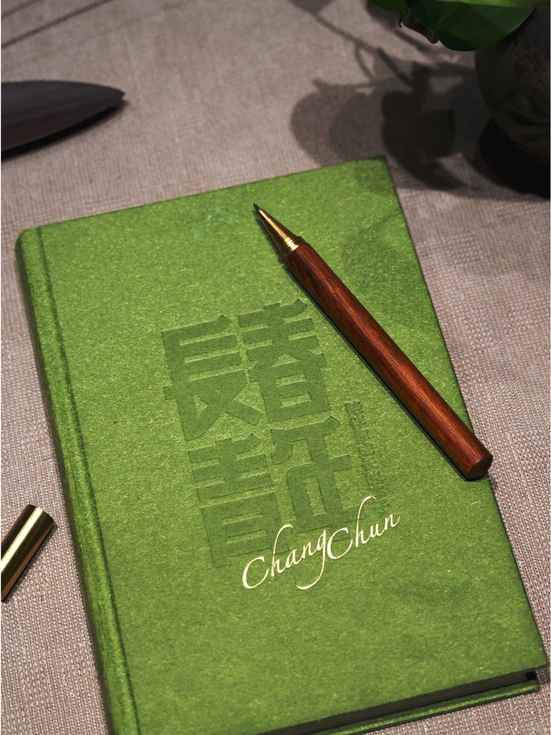 每一位青年终将活成自己想要的模样