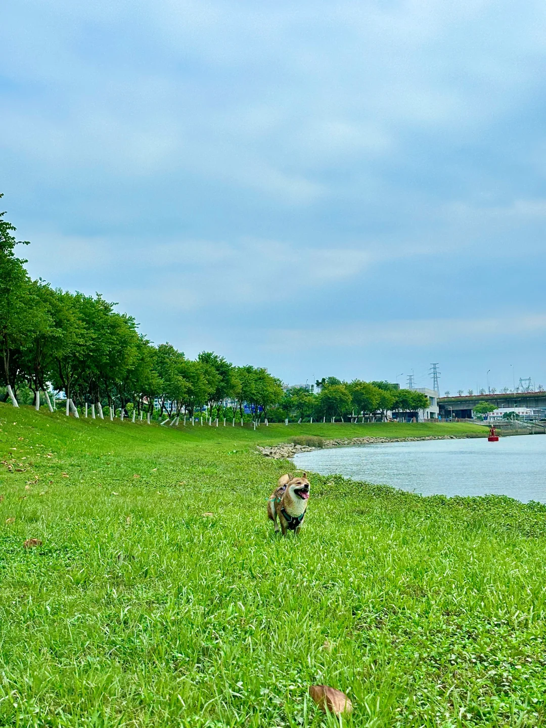 两天周末两个公园🌳