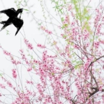 昨夜前任喝的烂醉，打电话给我求和好，我想都没想就拒绝了，连喝酒都不叫我，根本就没