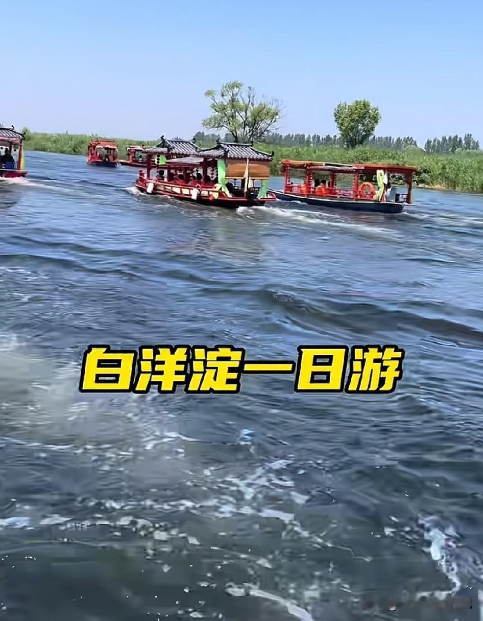 孩子放暑假，欢迎大家来白洋淀游玩避暑。我在白洋淀等你哦！
现如今的白洋淀，大家可
