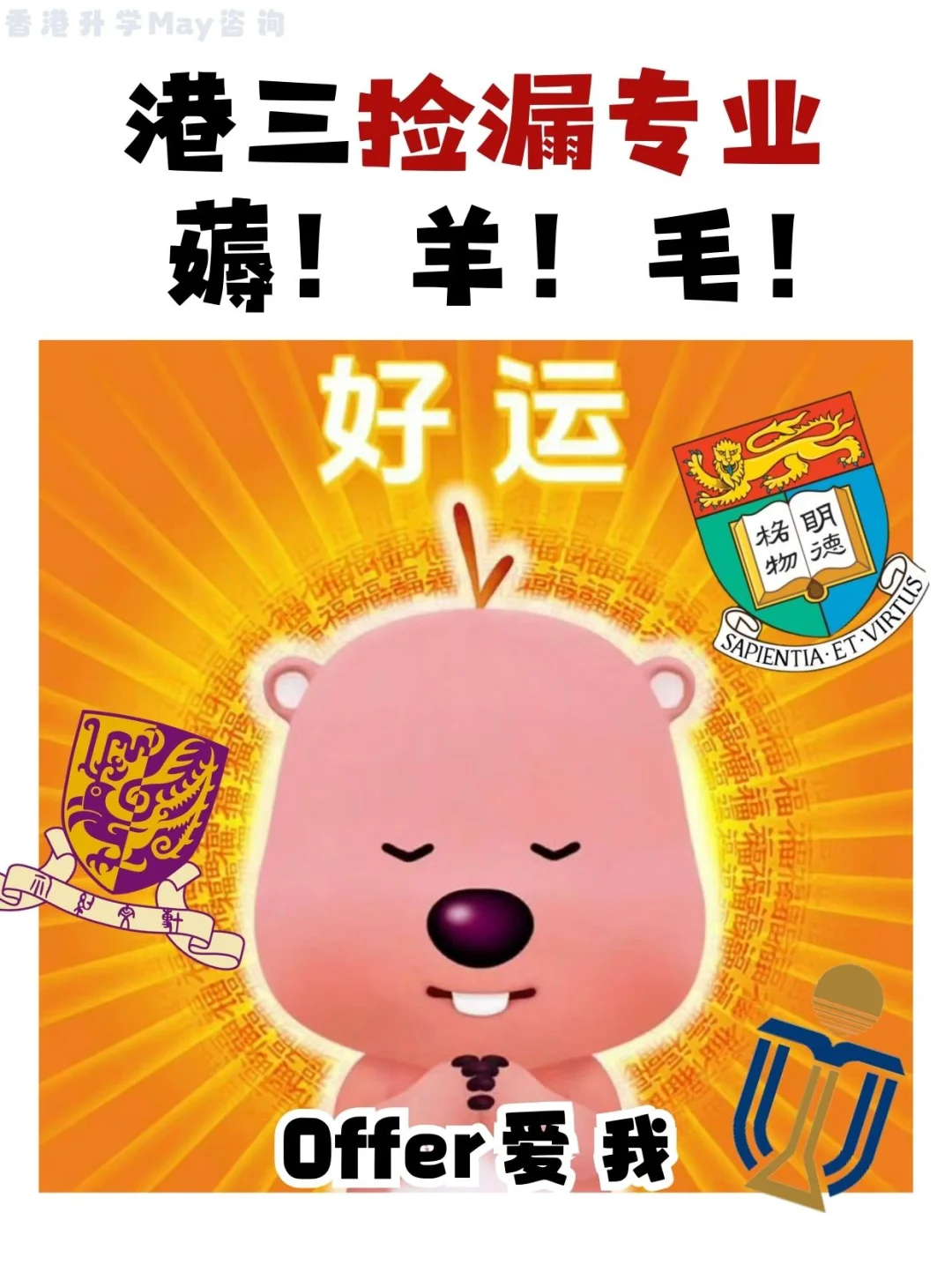 🇭🇰Man姐：捡漏专业都不申？找个男的嫁了吧