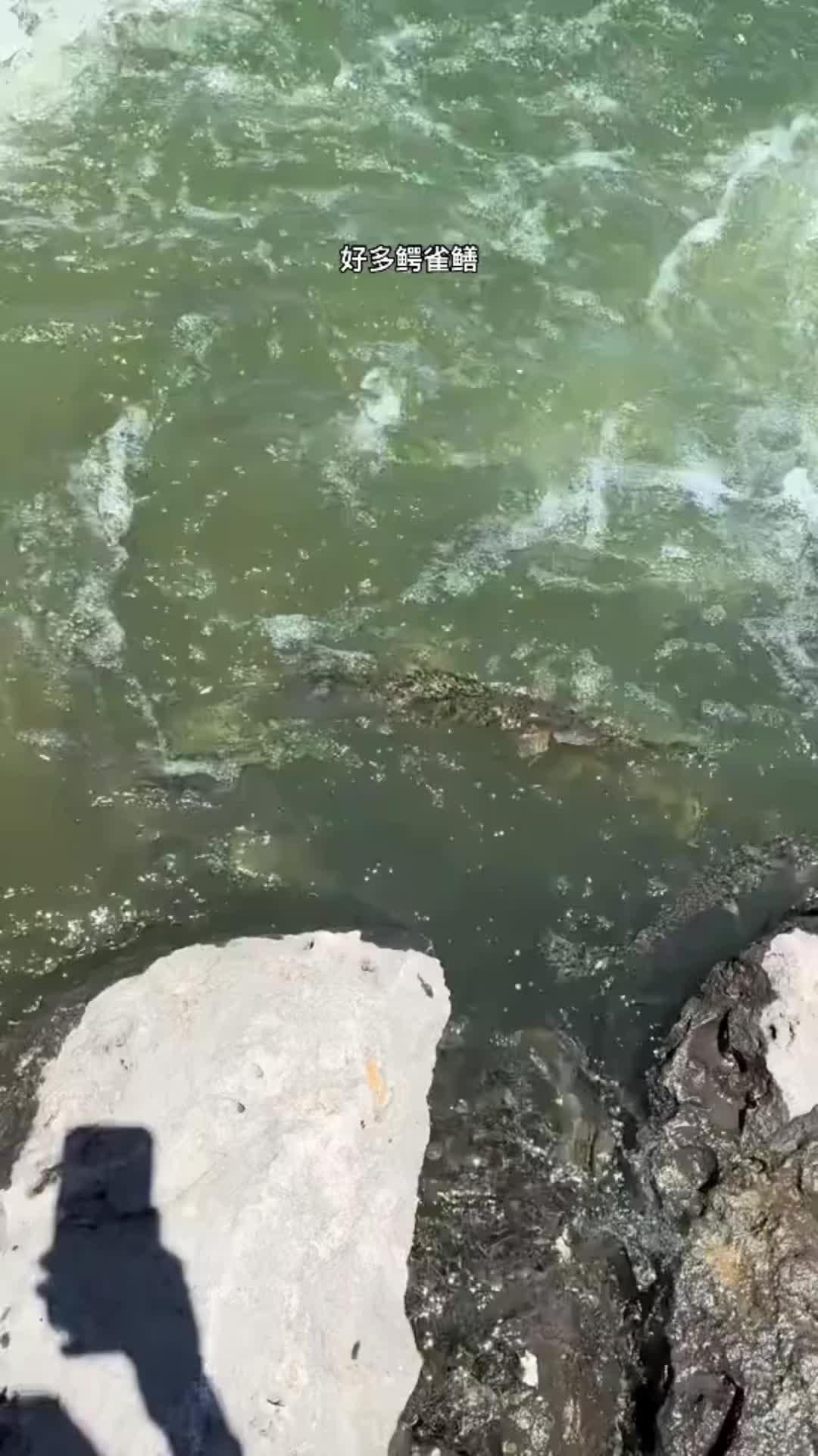 打路亚的技巧