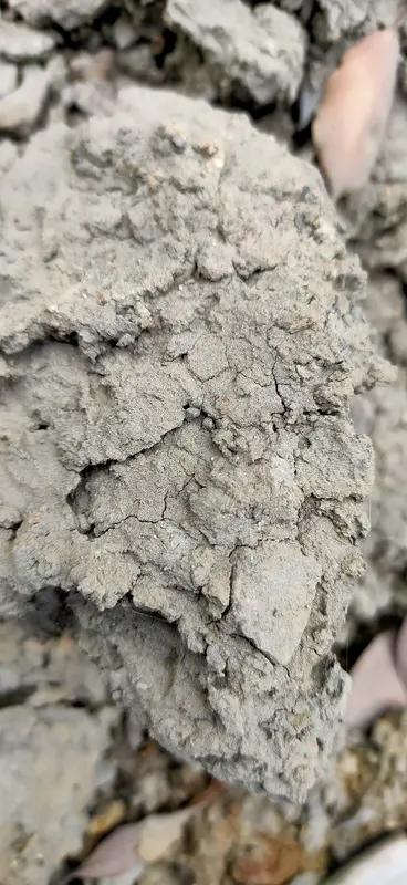 日本宣称开采出含稀土淤泥，中方也作出了回应。稀土可是重要的战略资源，在电子、新能