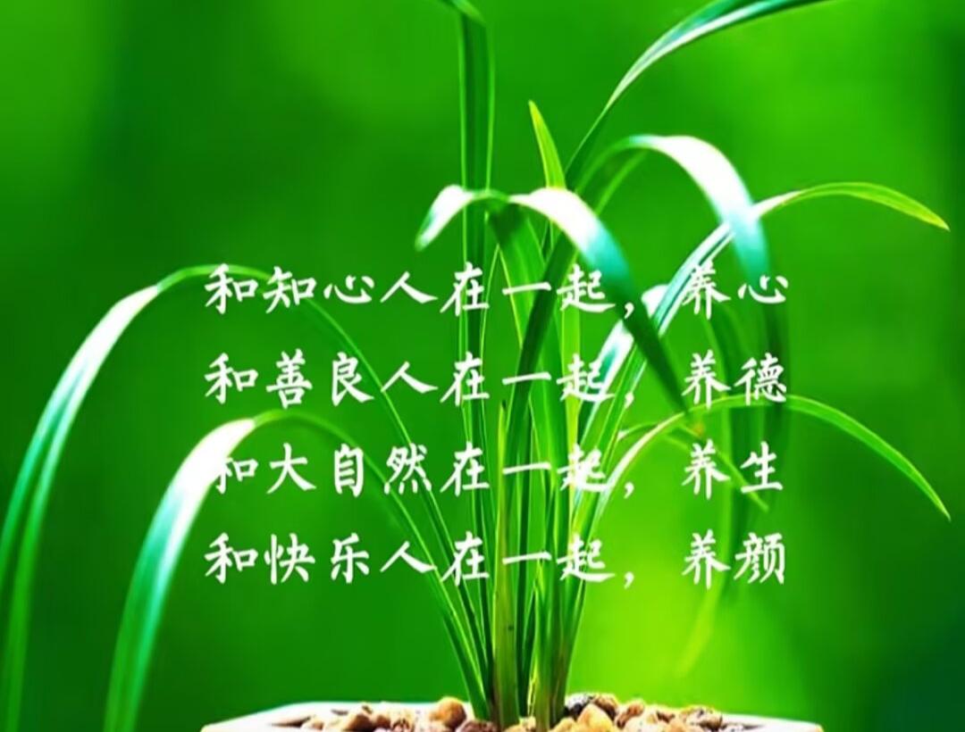 春安吉祥[烟花][烟花][福][福]